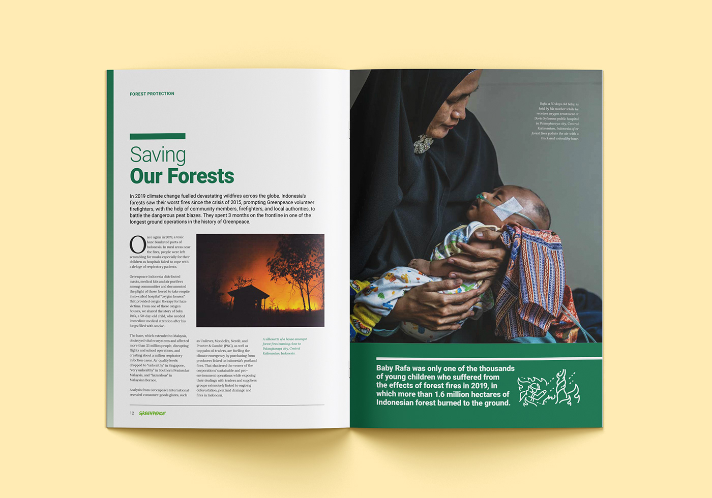 annual report art direction  Creative Direction  graphic design  indonesia Layout malaysia non profit philippines Thailand