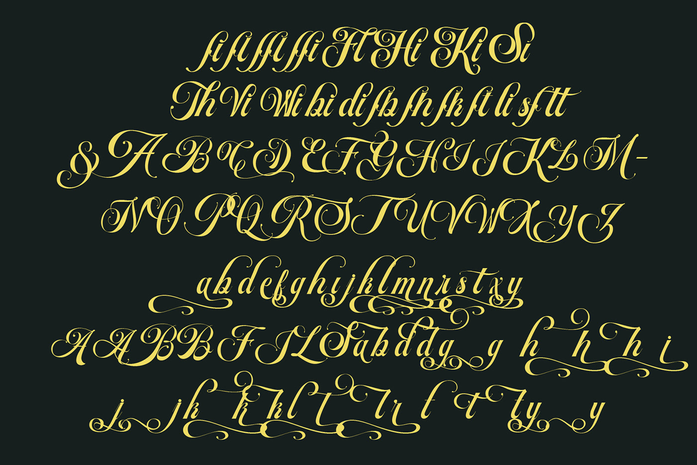 typography   lettering font Script Calligraphy   handwritten Vintage Design graphic design  letter logo font design