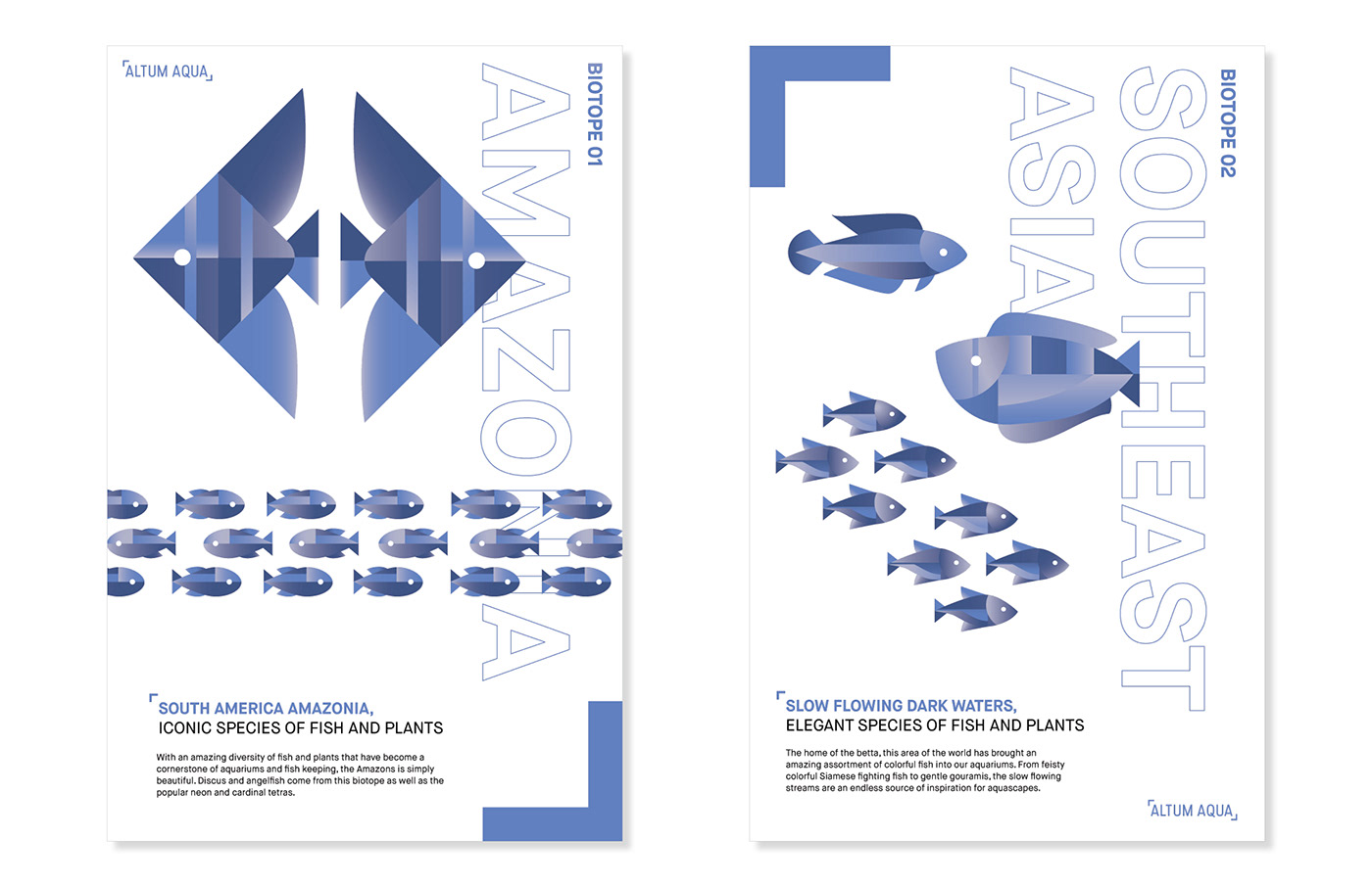 fish store branding  fish store aquascaping aquatics ILLUSTRATION  adobeawards