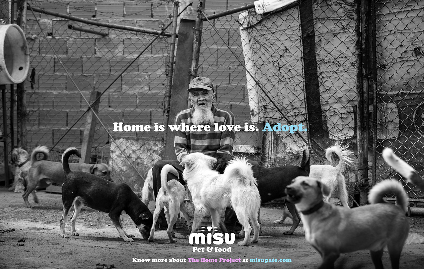 dog homeless misu Pet &Food publicidad the home project venezuela Pet adoption Advertising 