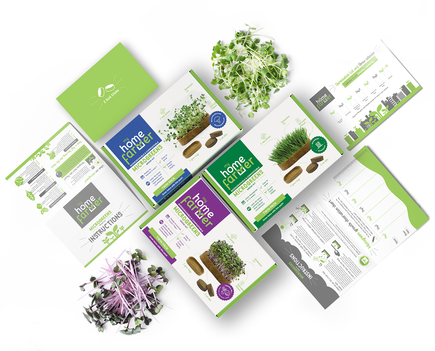 #Branding #experience #graphicDesign #homegardening #illustration #inforgraphics #kit   #logo design  #packaging design  microgreens