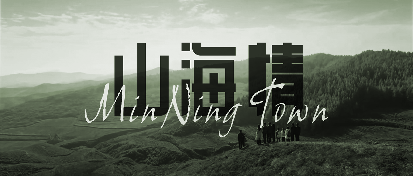 chinese lettering Typeface typography  