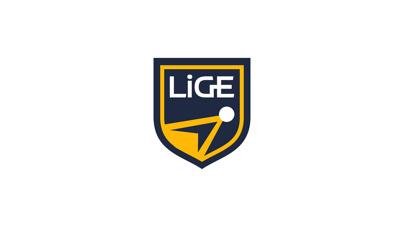FGV LIGE management sports Sports Branding sports management sports league são paulo blue blue and yellow