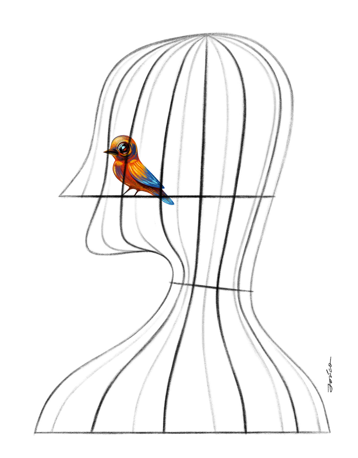 cage bird ILLUSTRATION  Minimalism simple