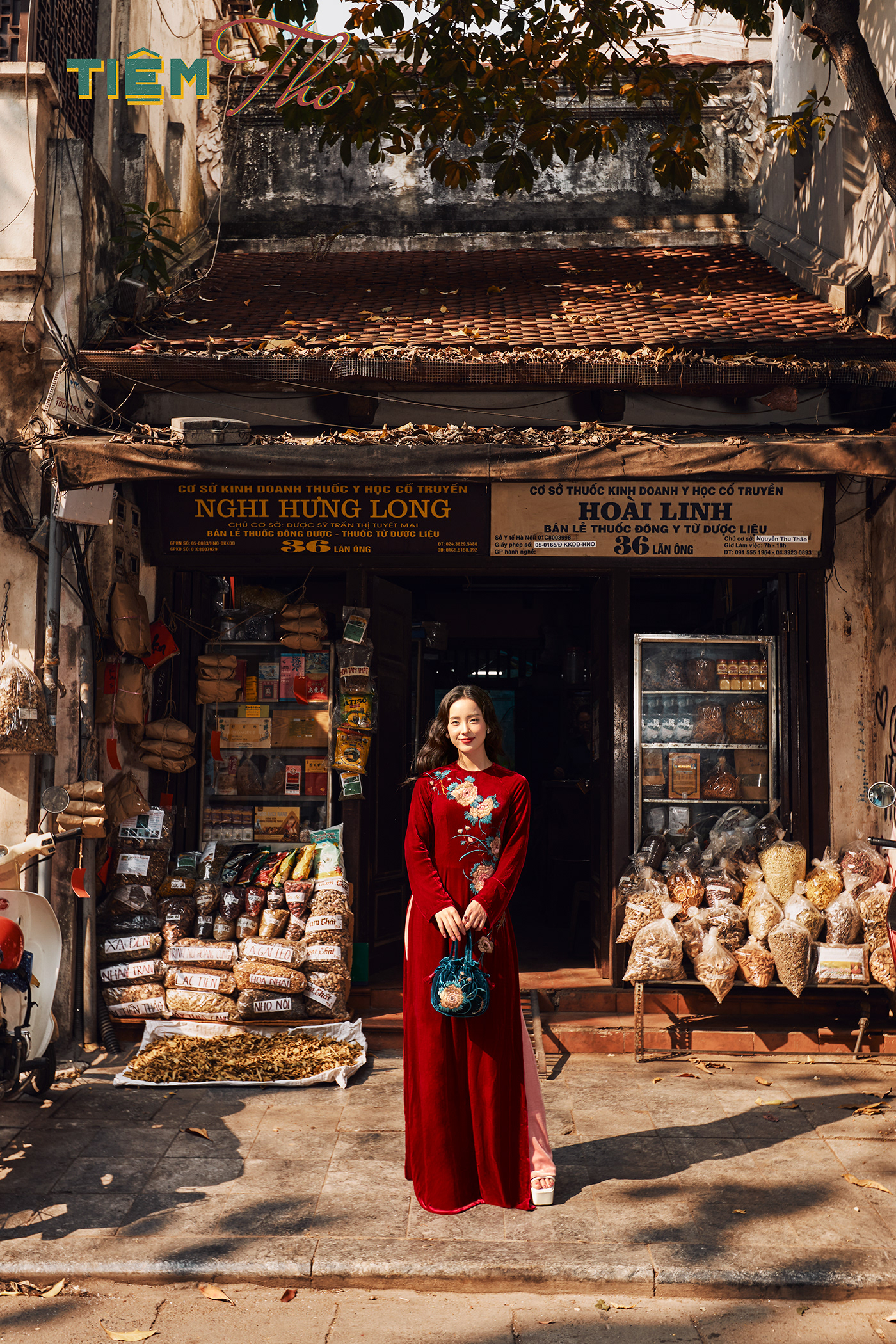 Photography  Fashion  Clothing Aodai vietnam Retro Lookbook Style