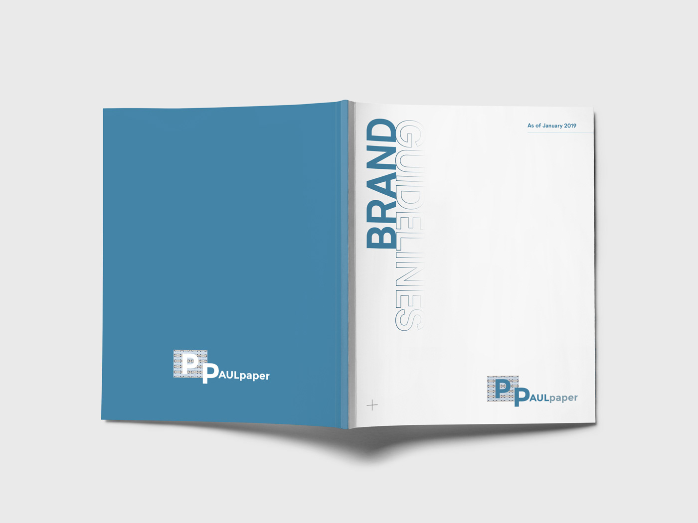 brand identity Brand Design brand deck style guide logo designer editorial design  brand book paper company book design Why22 Studio chris cappilla