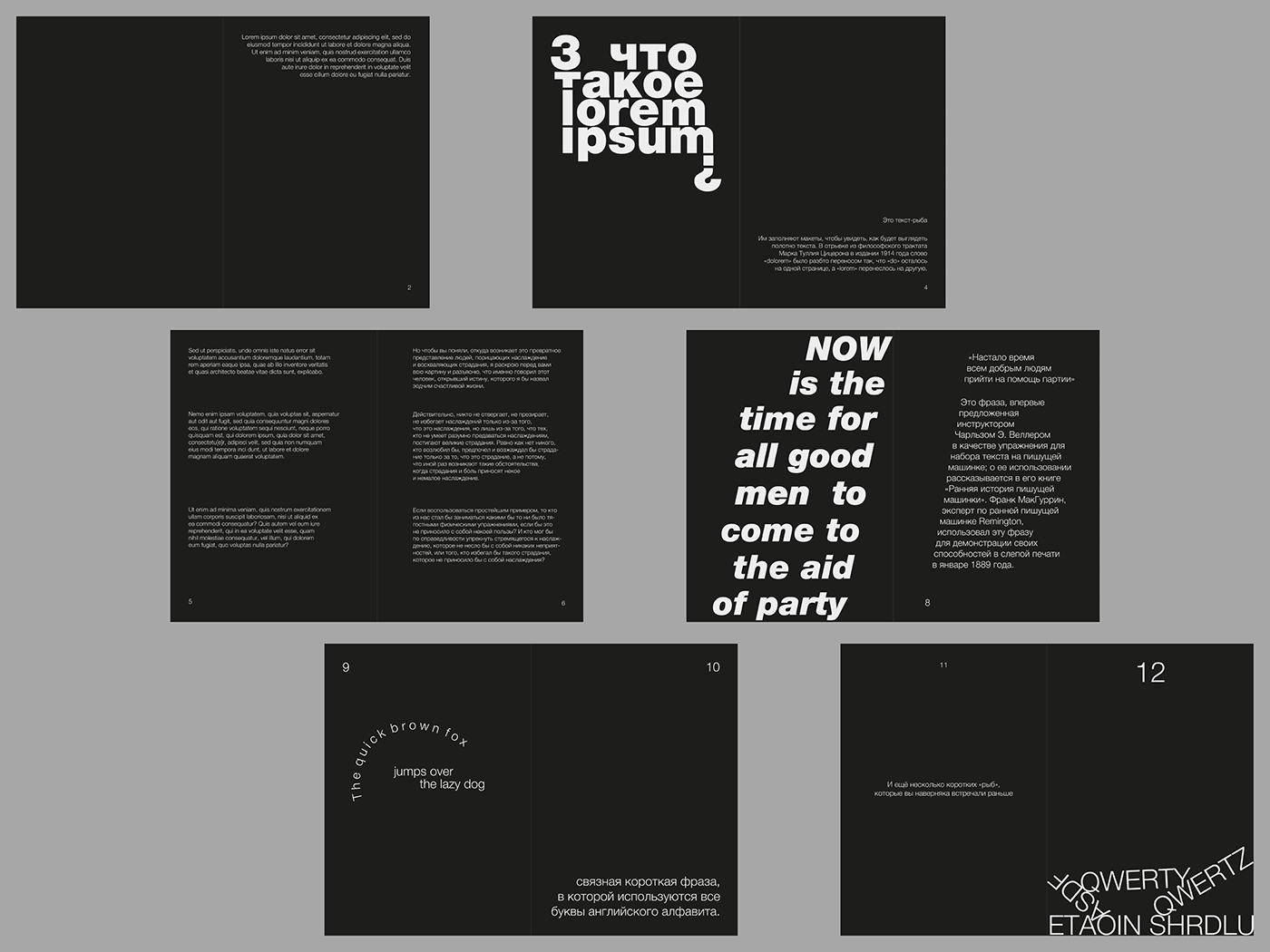 типографика typography   зин graphic design  графический дизайн book cover книга обложка