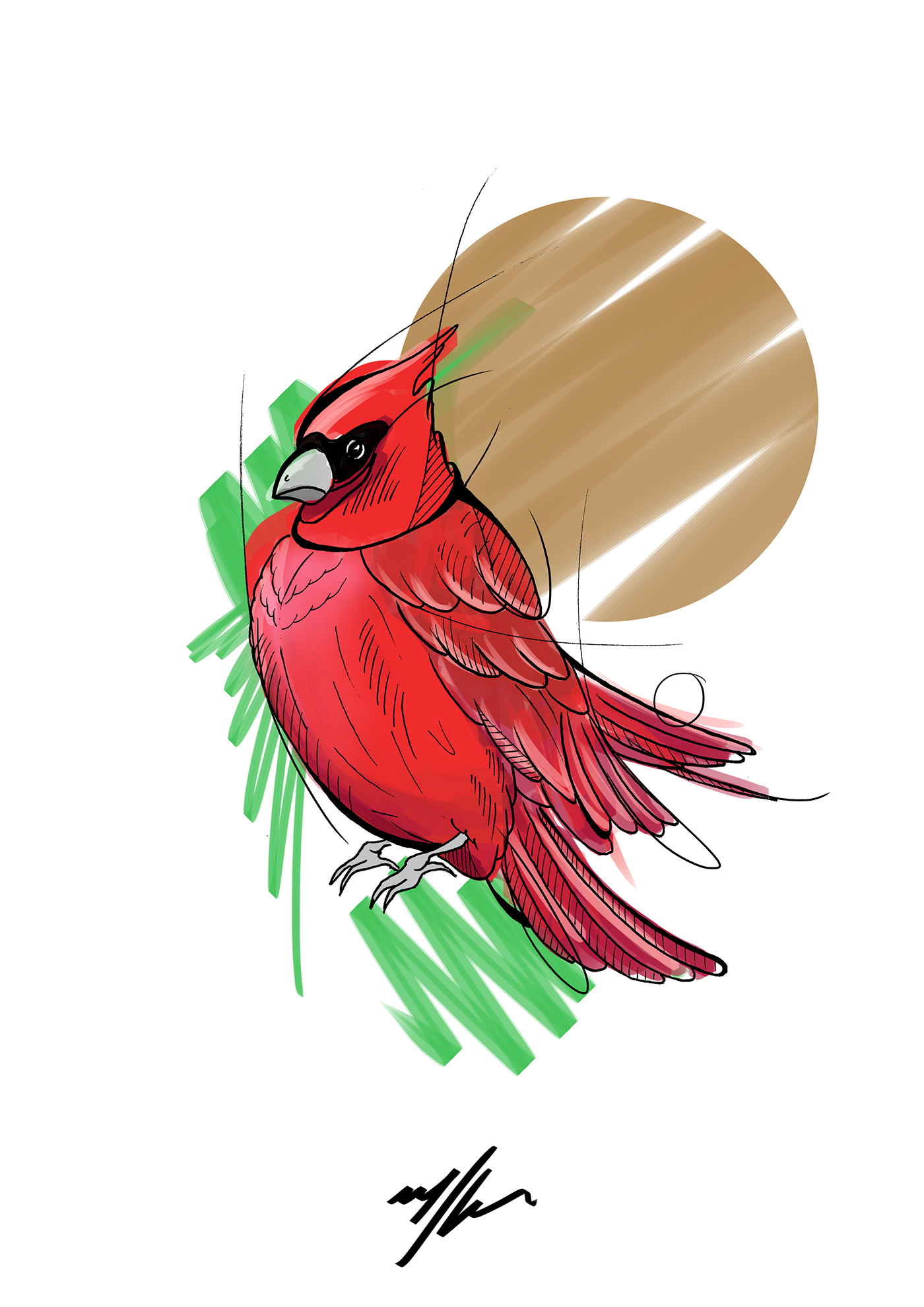 swallow cardinal birds feathers mixedmedia Marker sketch digital Guatemala