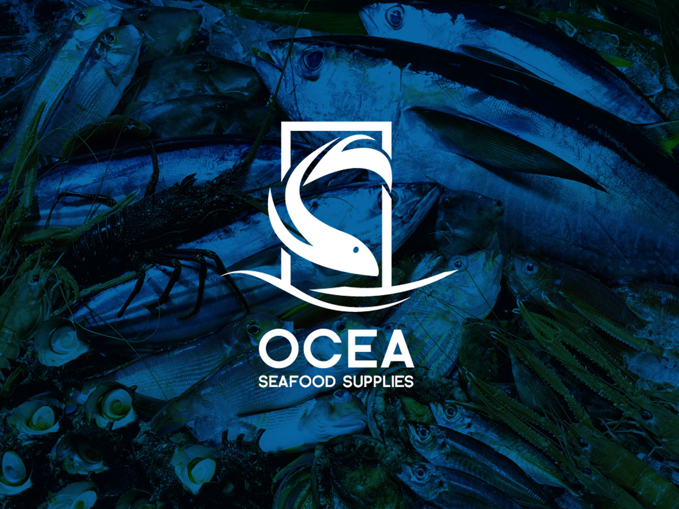 blue seafoodsupplier seafood supplier Food  fish singapore indonesia logodesign namecard businesscard deepsea company identity