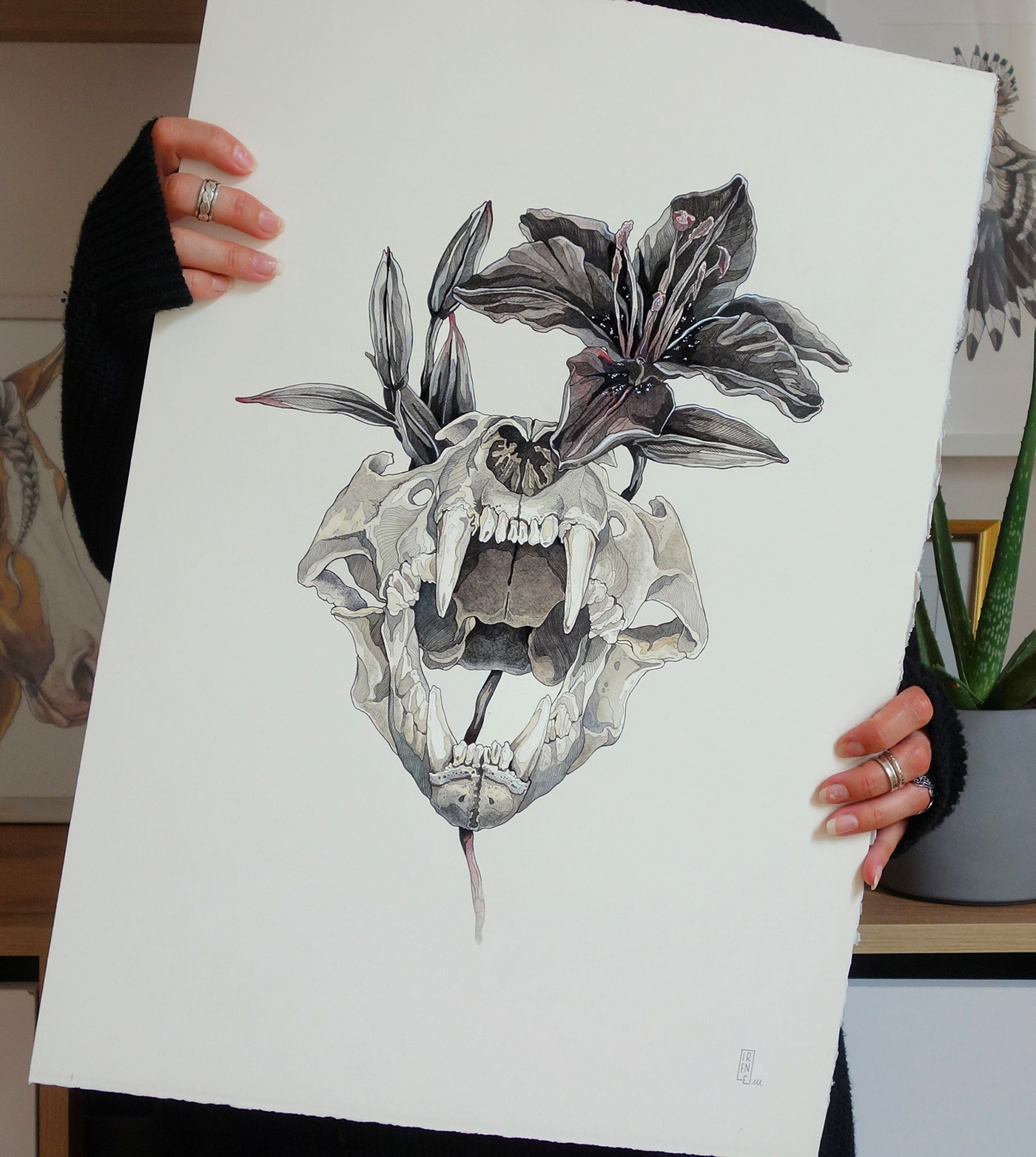 animalart inkdrawing lily lineart lioness mixedmediaart skull skullart watercolor watercolorpainting 