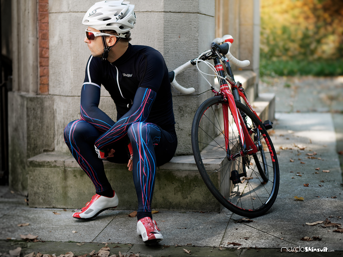 Cardiovascular system legwarmers for cyclist
and anatomy lovers