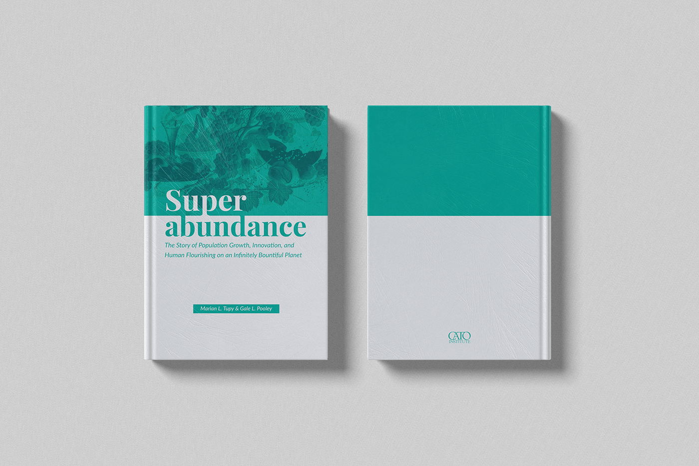 blue book book cover clean editorial green Layout print turquoise typography  