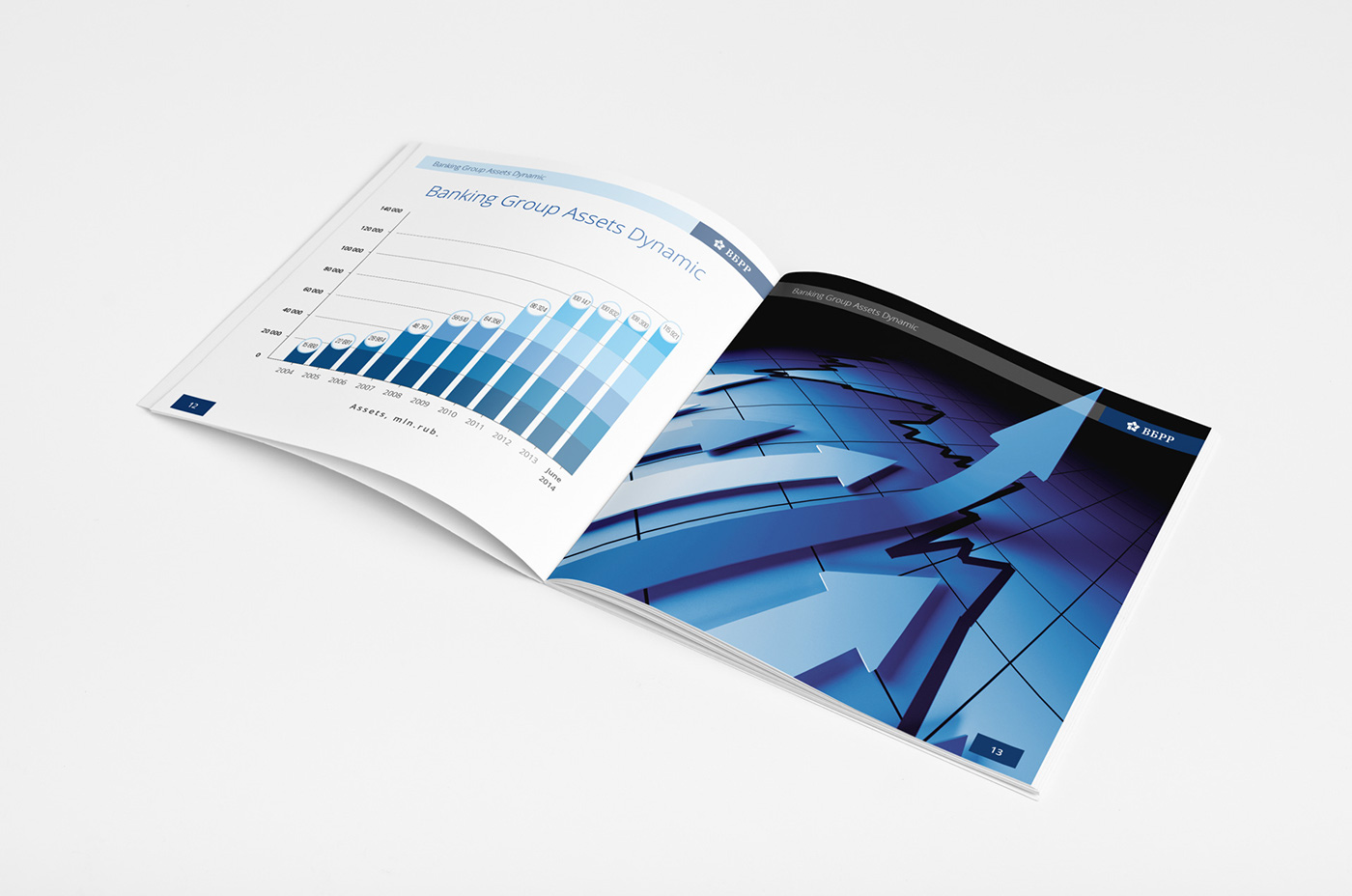 Booklet presentation design bussines Bank finance money Work  economy catalog VBRR RedBear verovski
