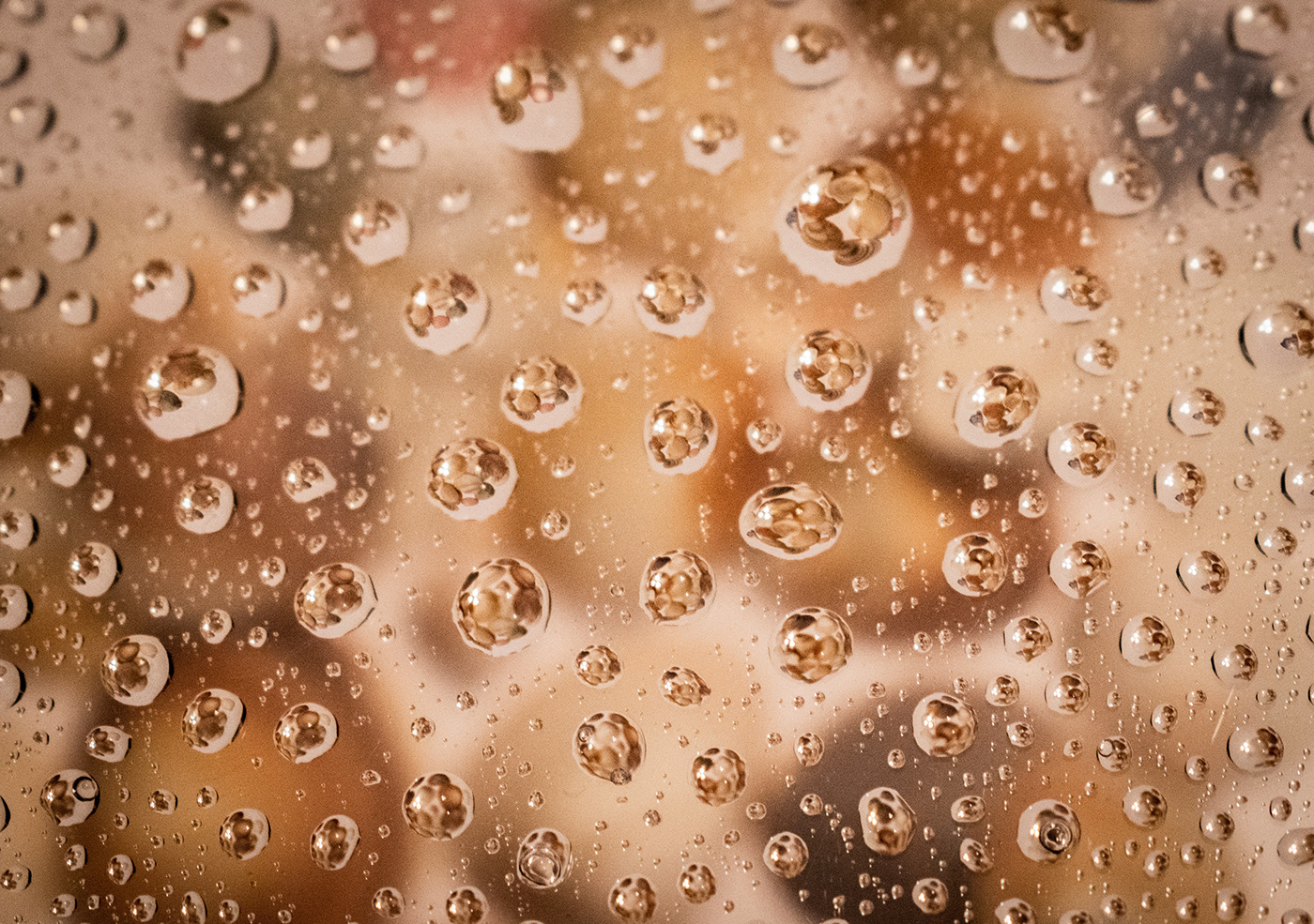 cool droplets macro Photography  water