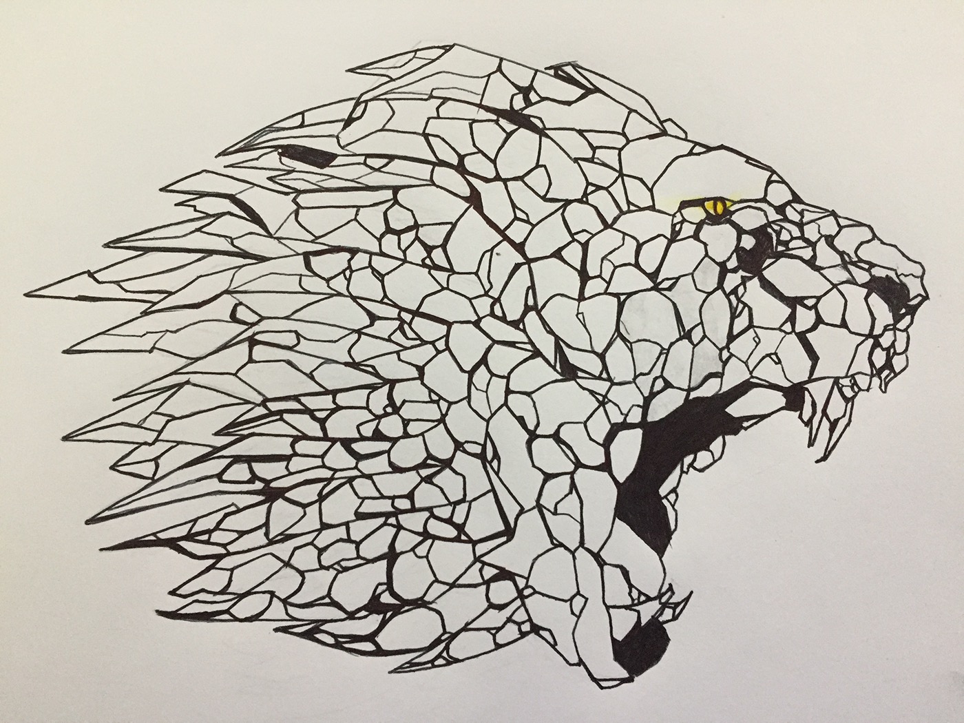 lion Lion King Drawing  art Illustrator graphic design 