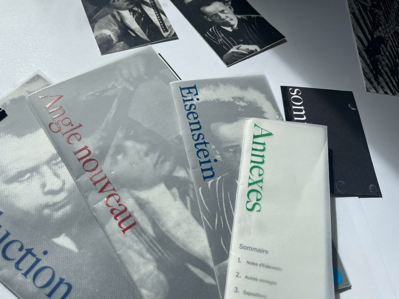 book brochure catalog editorial design  graphic design  InDesign Layout magazine print typography  