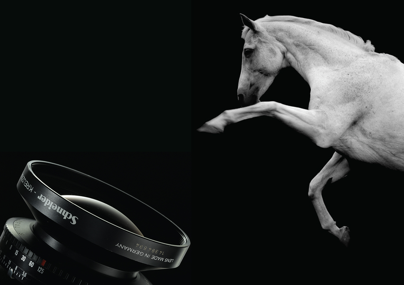 photo photograpy foto brand ロゴ 標誌 логотип logo фотография 写真撮影 攝影 Hore うま лошадь 馬.