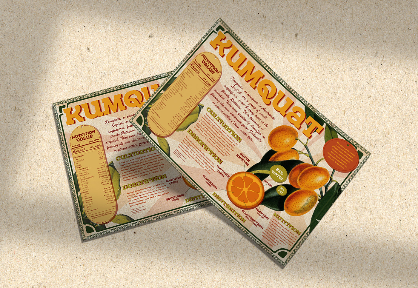 Inforgraphic botanical Kumquat poster