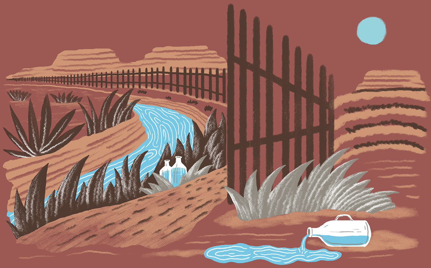 editorial ILLUSTRATION  animals Ecology water texture Drawing  Nature article mexico