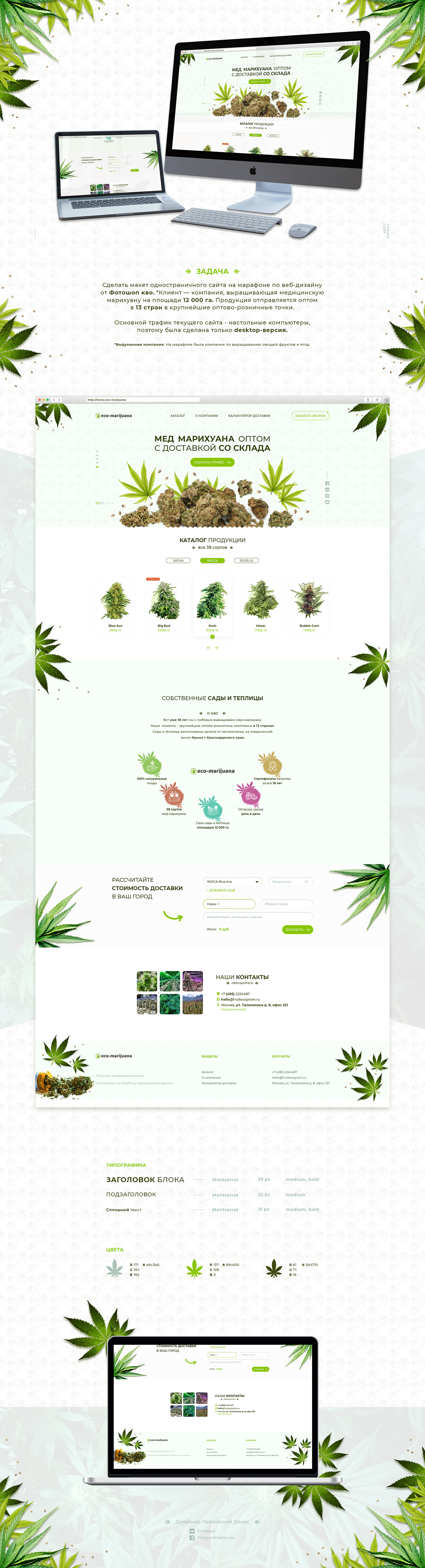 Web design marijuana cannabis landing