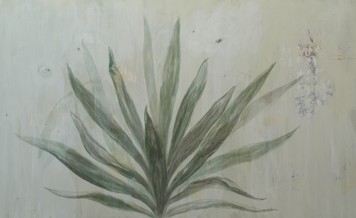 plantportrait plants painting   greygreen oval canvas