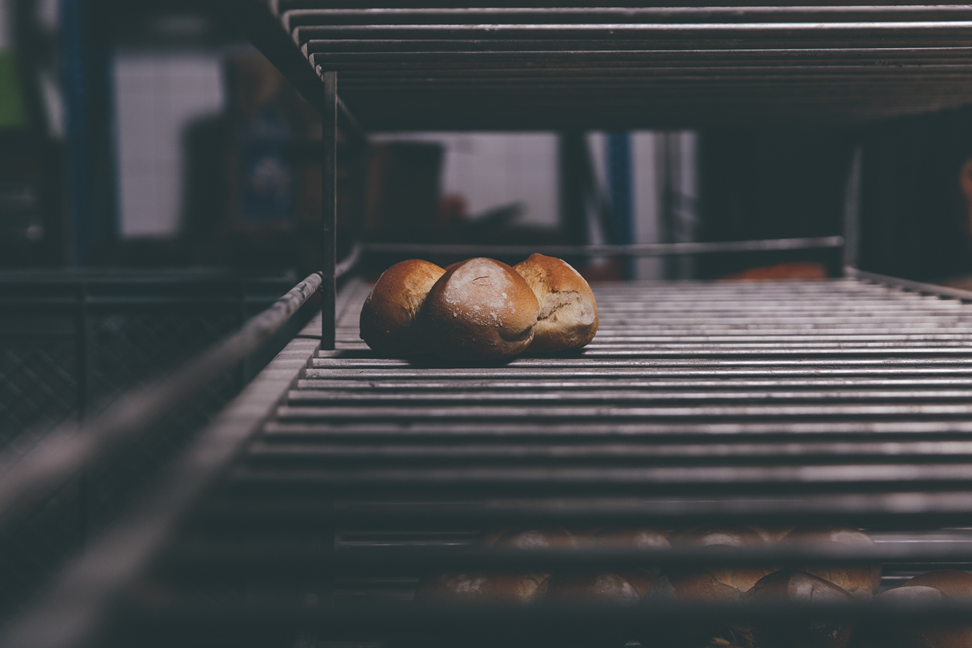 bakery bread porto alvaromartino alvaro martino intodesign Moutinho panificadora moutinho Food  food photography