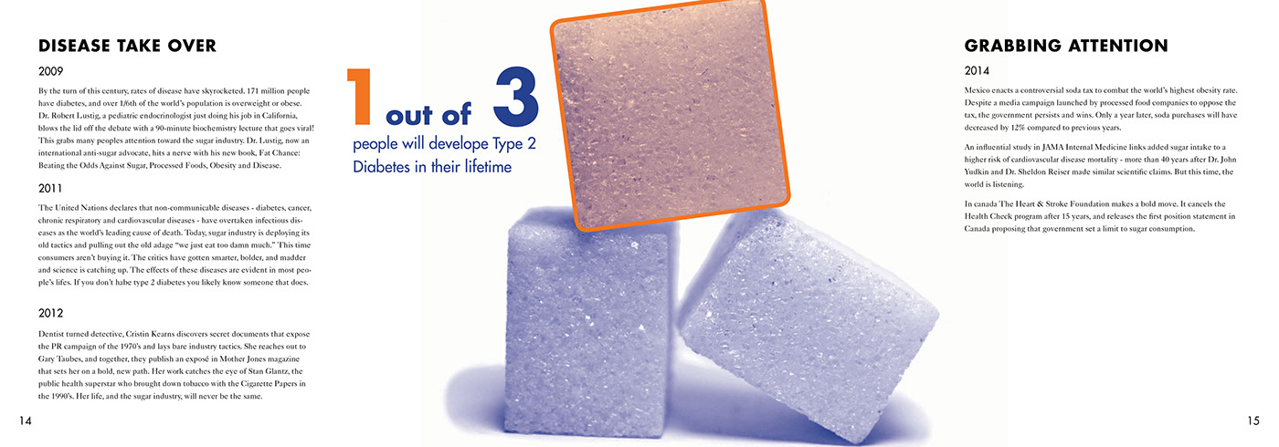 sugar nutrition graphic design  Booklet Education infographics