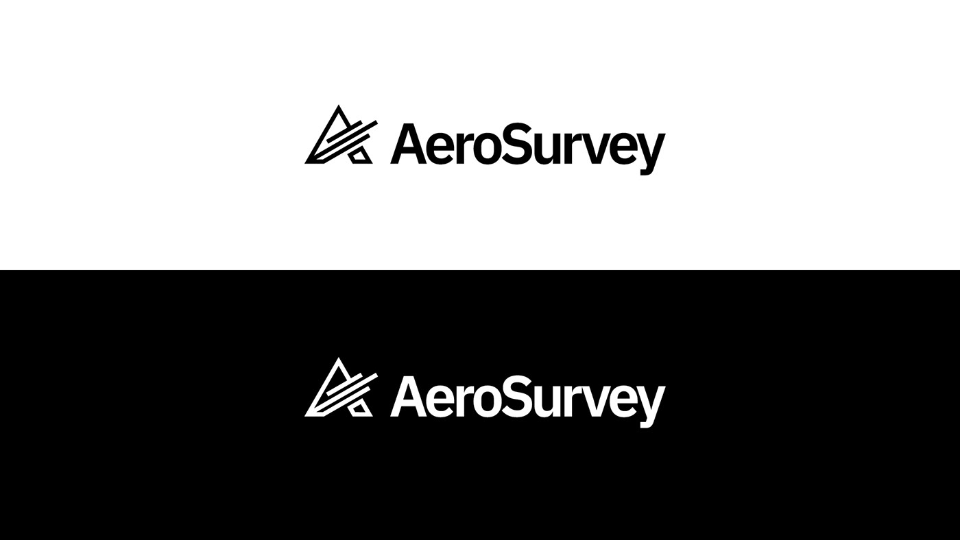 Aerosurvey Brand Design logo Logo Design science spectroscopy Technology visual identity