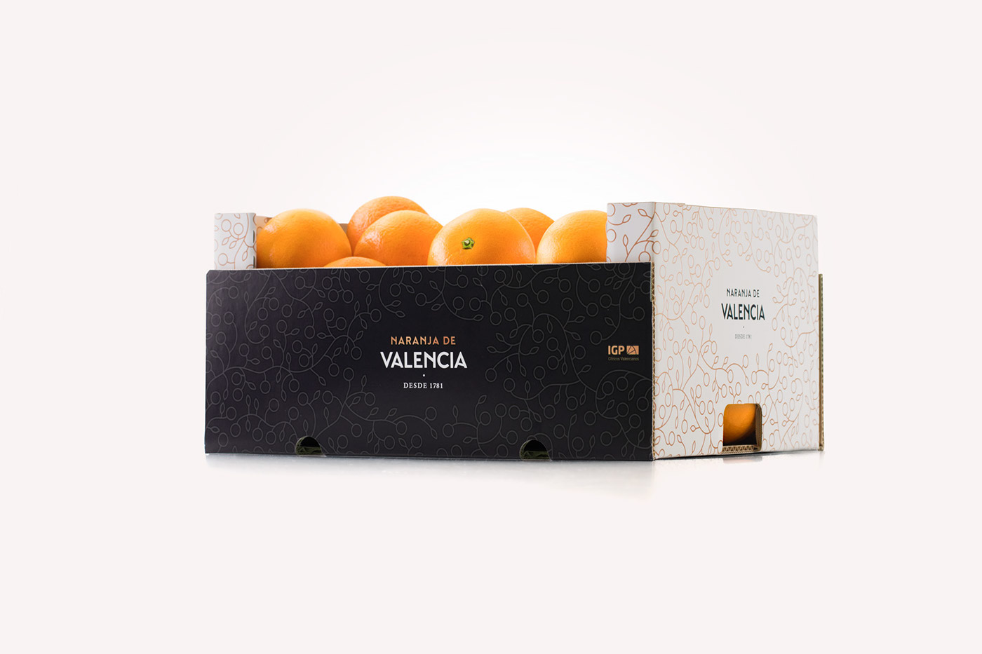 orange Fruit valencia Packaging pattern motif Wrapping paper Orange Juice