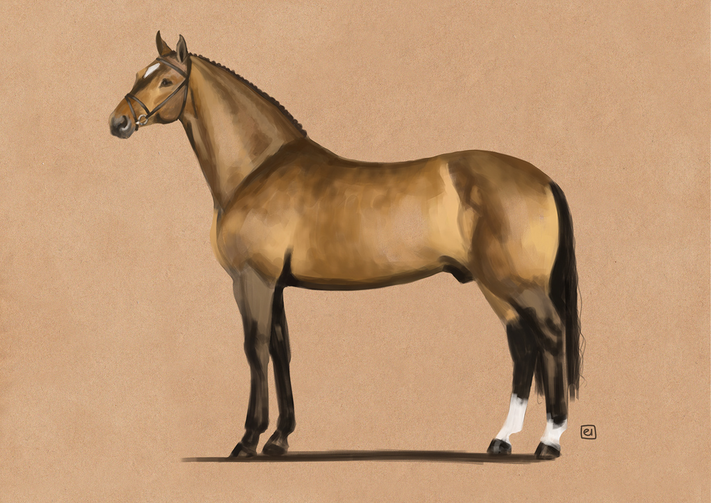 art horse horse drawing realistic horses studies digital illustration concept art digital painting