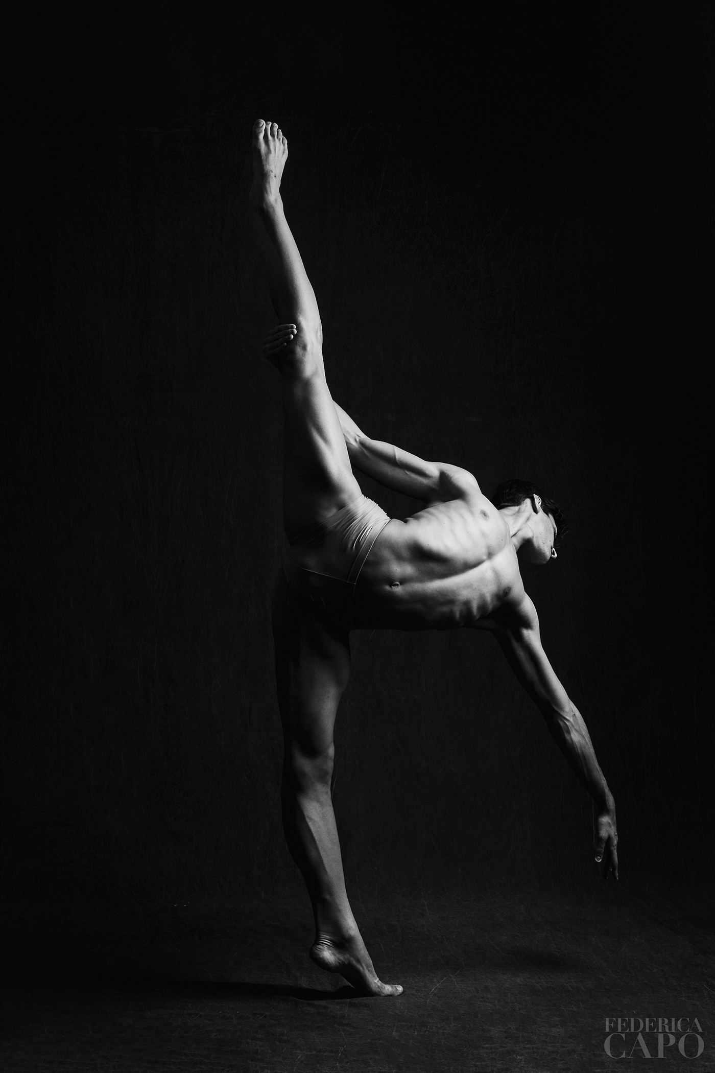 ballet DANCE   ballett bailarino dança Dancephotography portfolio male dancer body