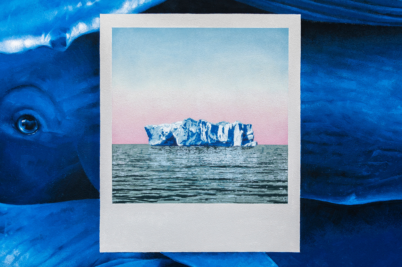 bear forest iceberg Photography  pine POLAROID sea streetart Whale