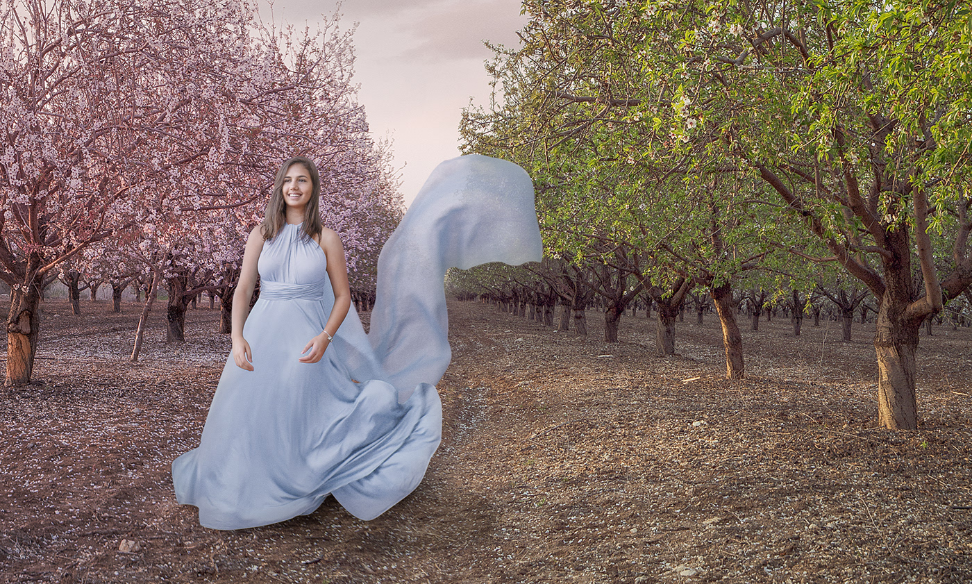 compositing Photography  Creative Retouching gif Digital Art  almond orchard spring photomanipulation photocompositing colorful