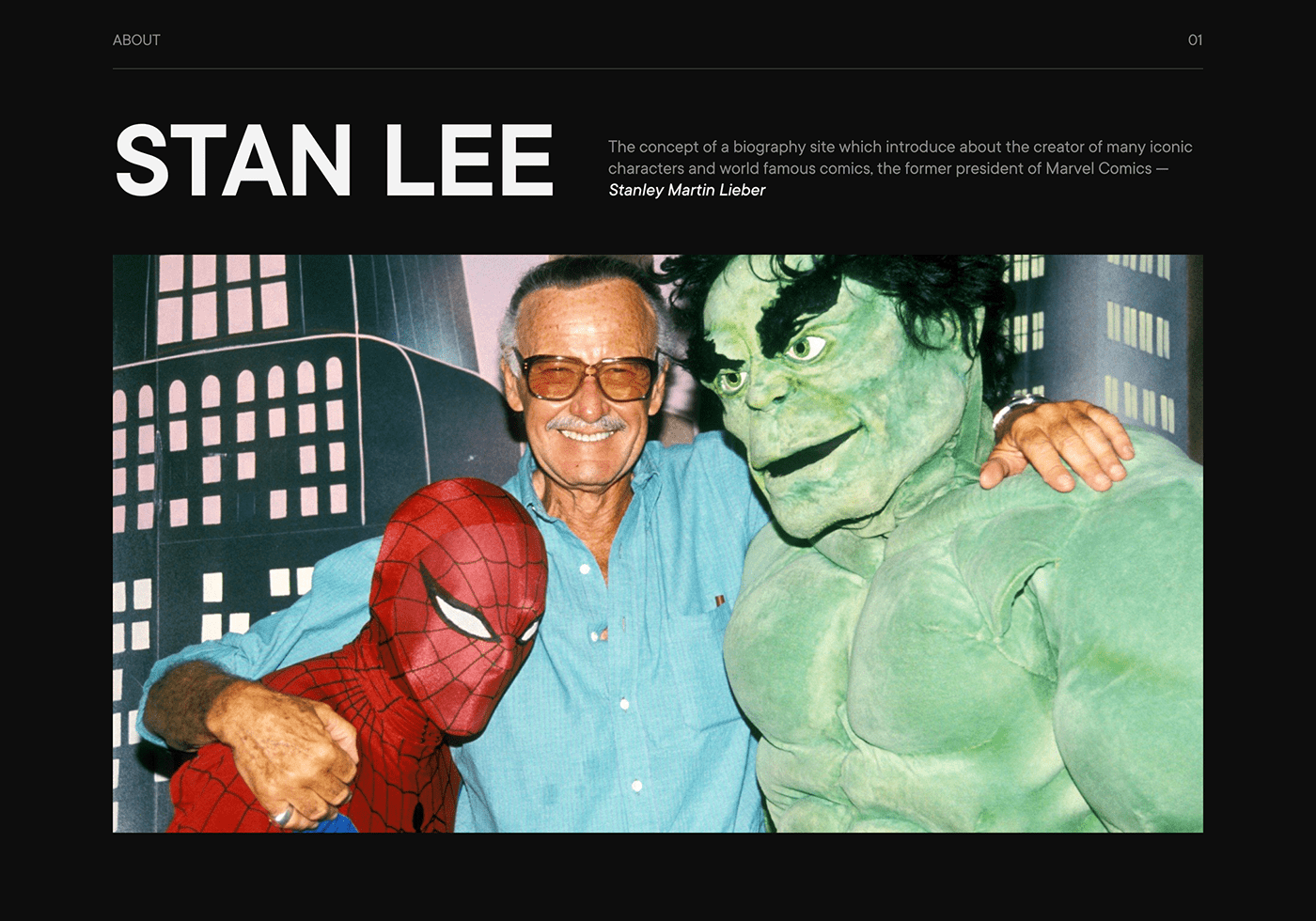 banner comics landing page longread marvel Minimalism spider-man Stan Lee typography  