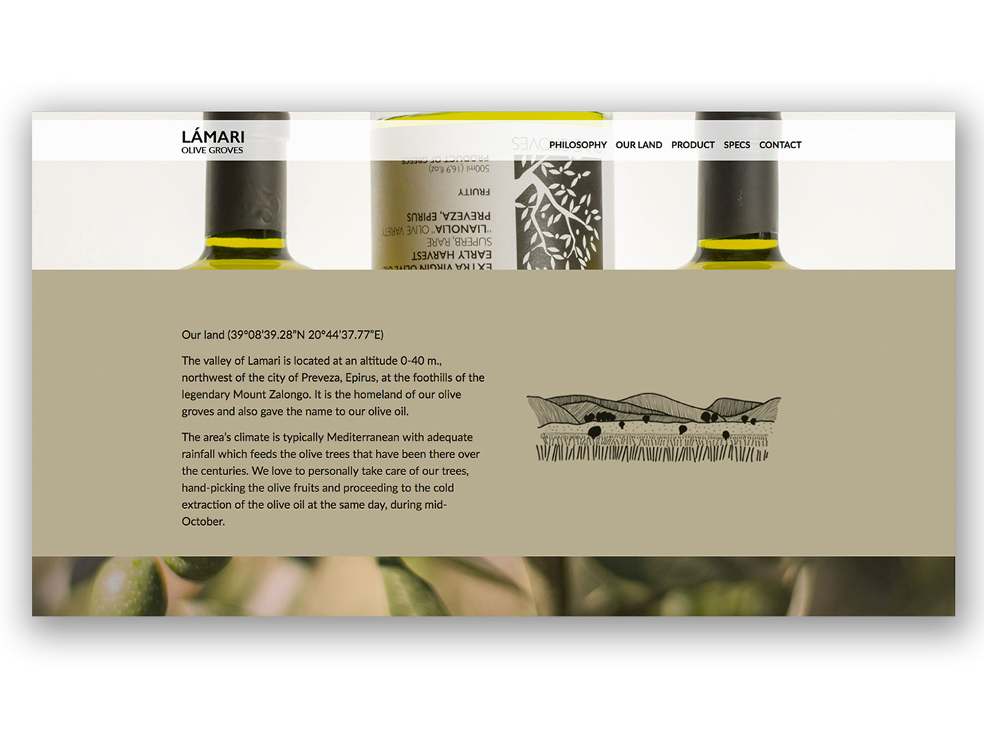 brand identity lamari Olive Oil graphic design  Packaging