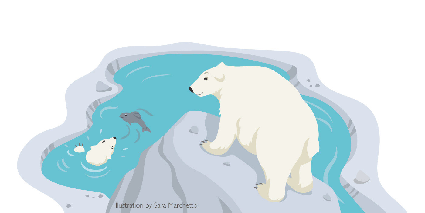 A little white bear hunting a fish and big bear watching. Vector art for children's dictionary.