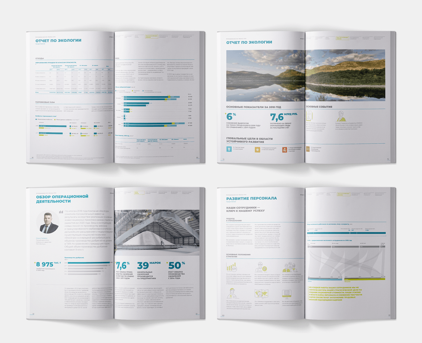 design information design infographic data visualization chart graph annual report business corporate