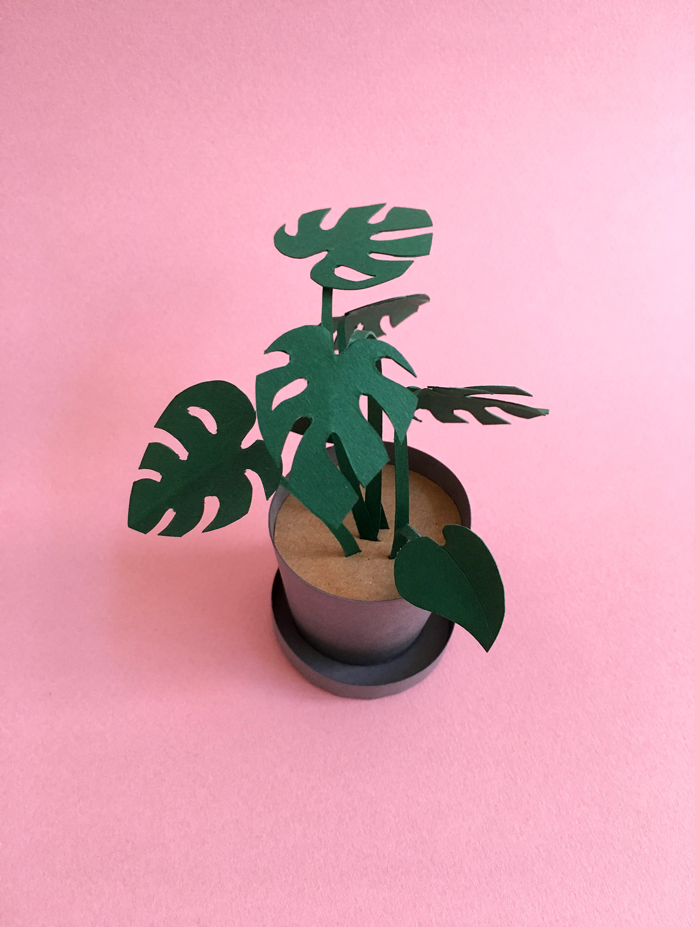 paper paperart Miniature minimalistic Monstera Plant Nature
