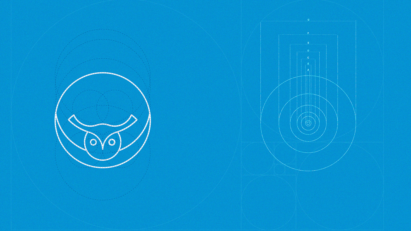 brand Brand Design branding  design identity owl stationary