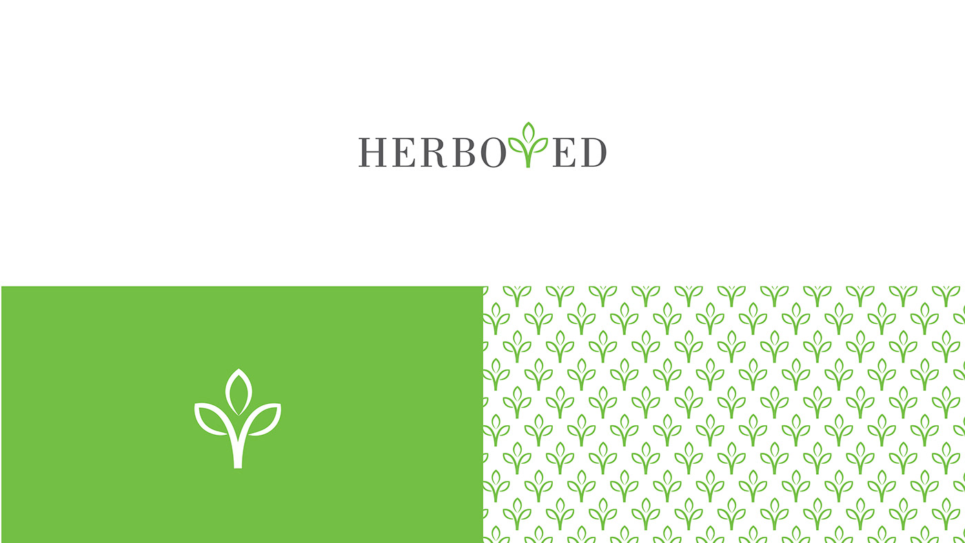 herbal medicine medical Health brand identity Logo Design Logotype vector visual identity Packaging