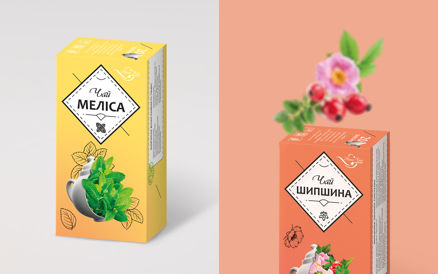 3D branding  herbal icons Isometric package Packaging tea teapot