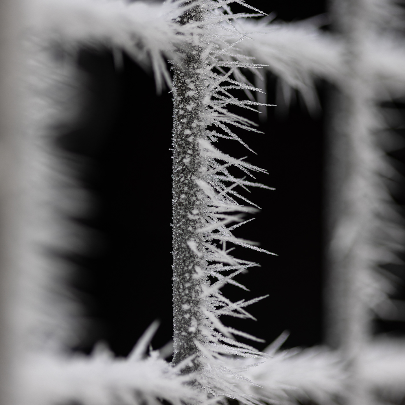 beauty closeup frost ice Landscape macro Nature Photography  rime ice winter