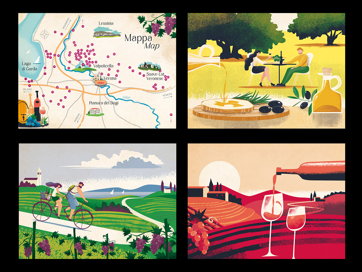 brochure design illustrations tourism wine