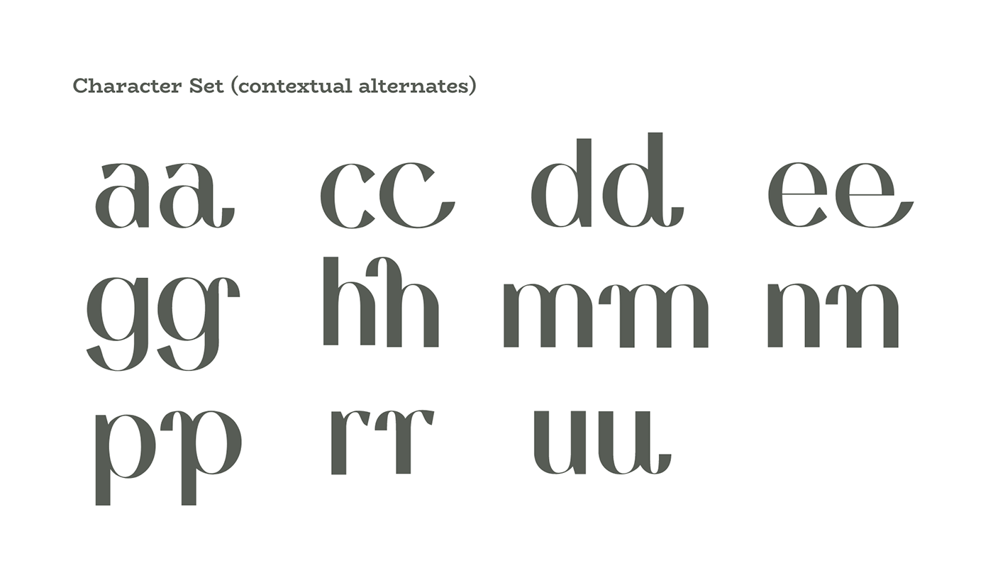 font font design motion graphics  type design Typeface typeface design typography   Variable type