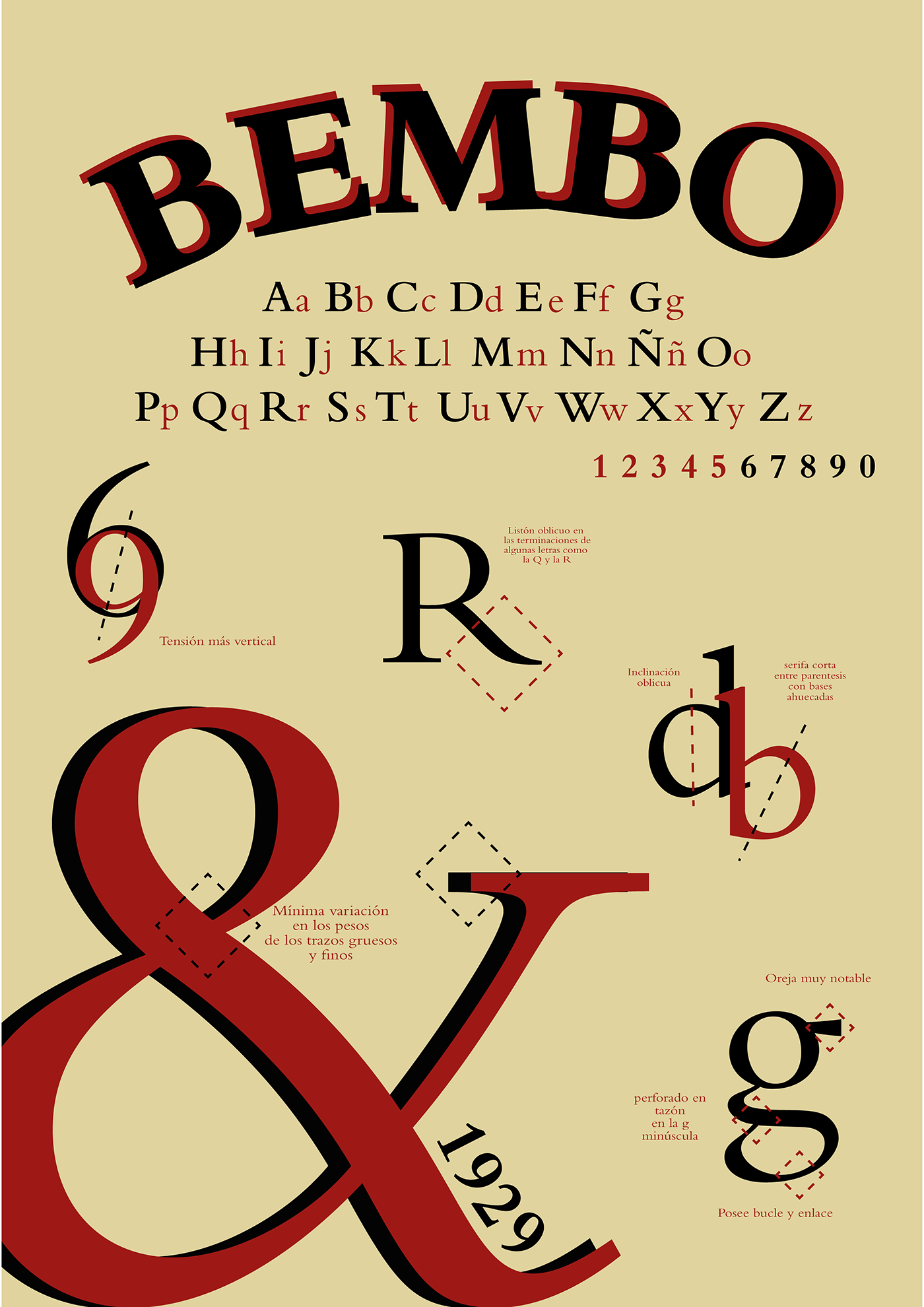 adobe illustrator Catalogue design editorial typography  