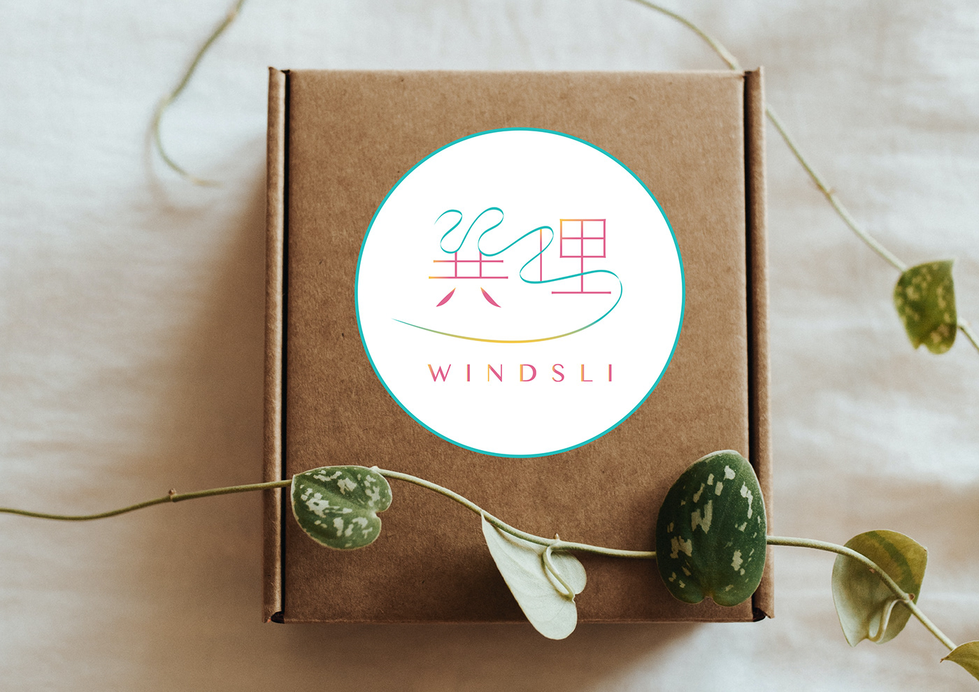 minimalist chinese logo on packaging