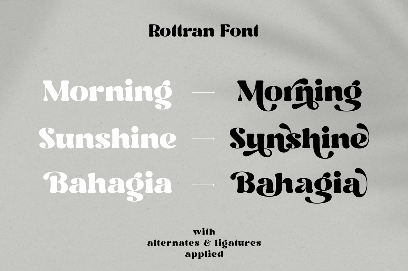 display font display typeface fonts free Free font Logo Design serif Serif Font Typeface typography  