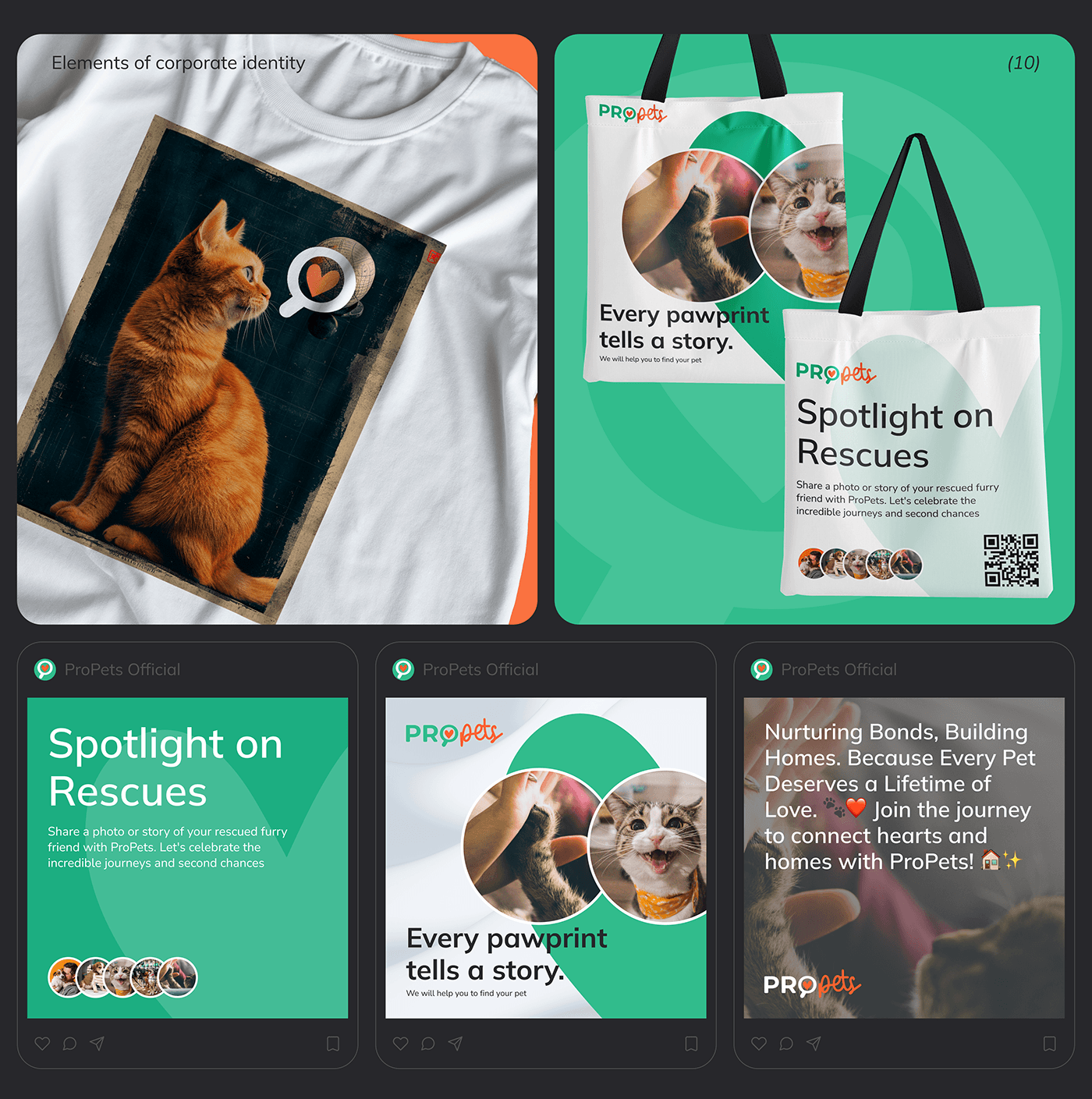pets Appdesign petshop user interface Mobile app application app design ios animals Petsearch