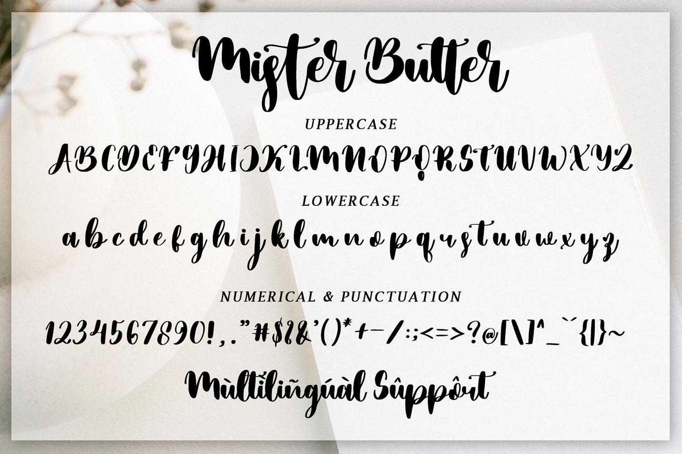elegance elegant font handwriting Logo Design luxury modern Script simple typography  