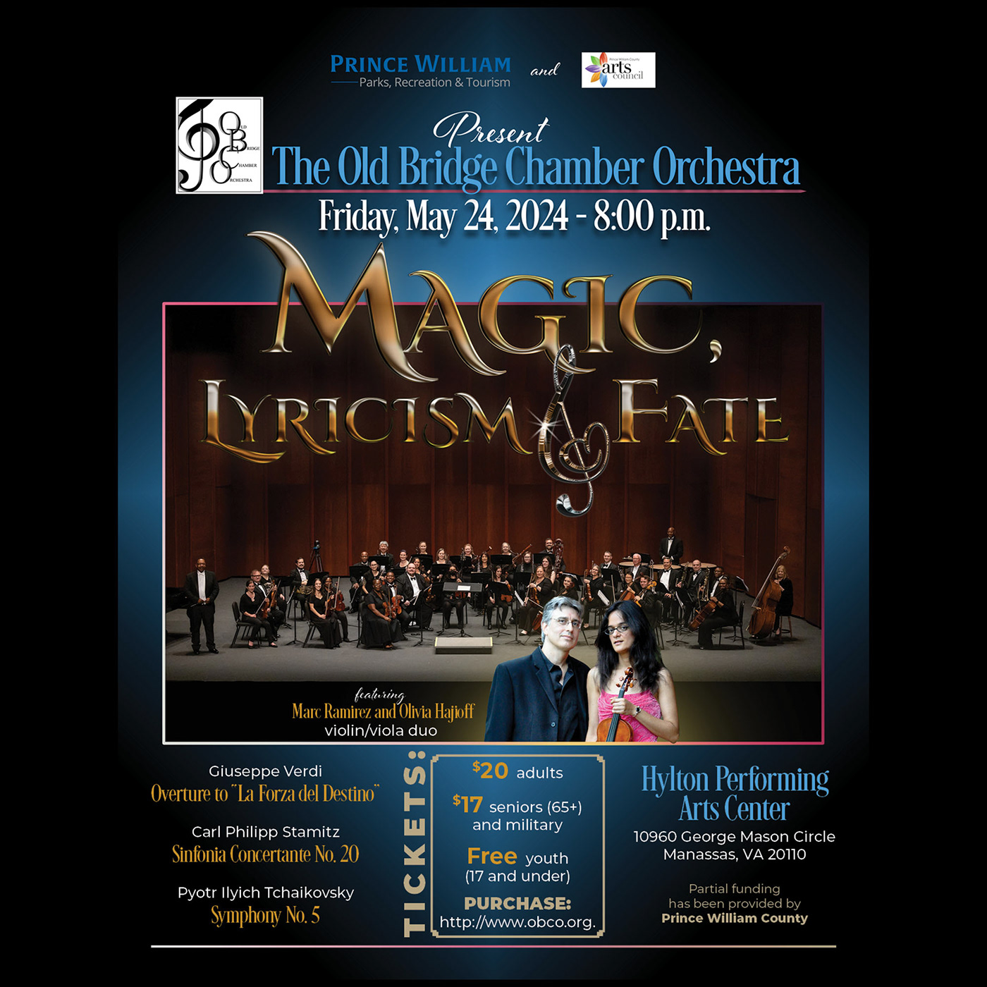concert flyer graphic design  orchestra Violin Magic   3D visualization